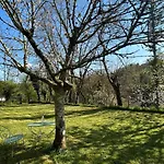 Maison D Amis De Charme - Domaine De Gargoris I Piscine Et Nature * Pont-du-Casse