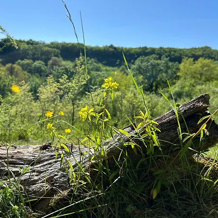 Maison D Amis De Charme - Domaine De Gargoris I Piscine Et Nature *