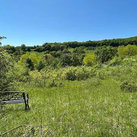 Maison D Amis De Charme - Domaine De Gargoris I Piscine Et Nature